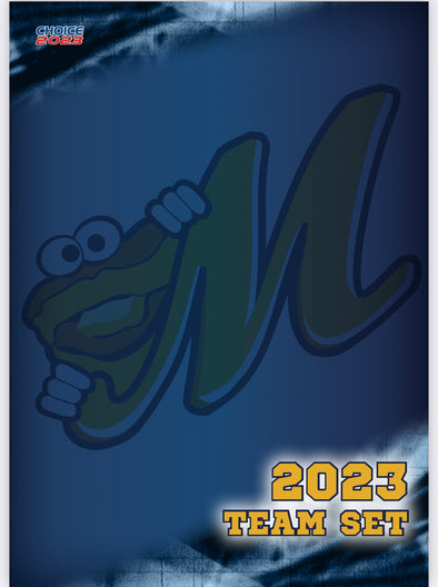 2023 Montgomery Biscuits Baseball Cards